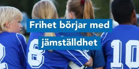 Liberal jämställdhetspolitik
