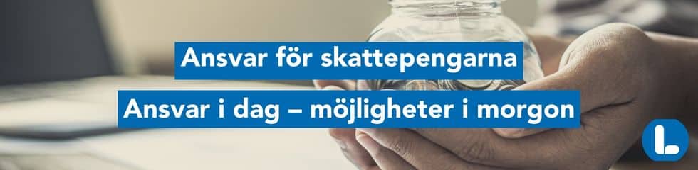 Ansvar för skattepengarna